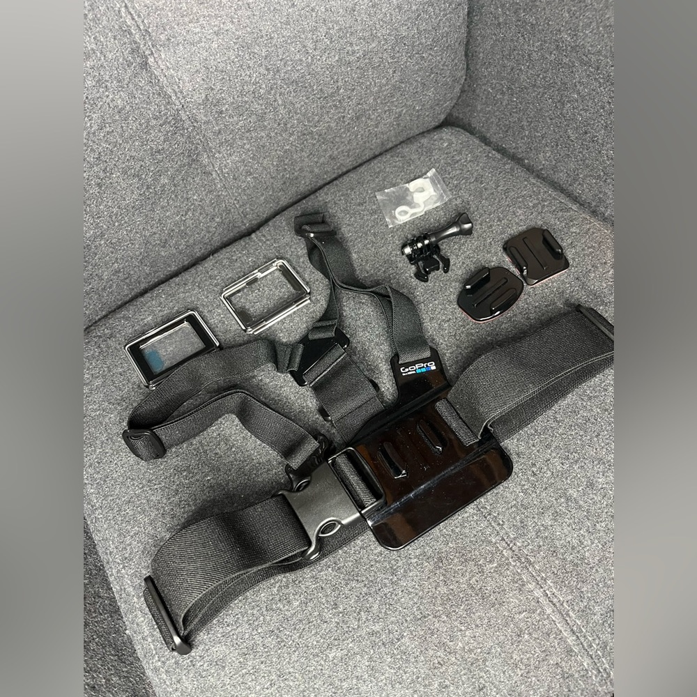 GoPro harness